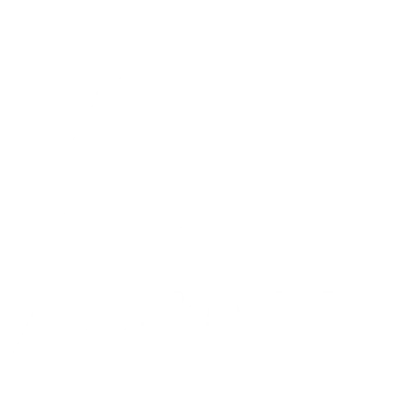 Results Guarantee White